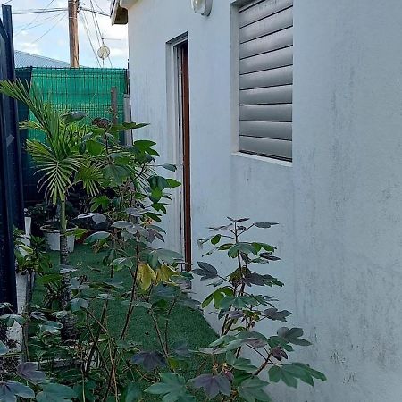 Labe Kaz Kreyol Studio Le Moule Exterior foto